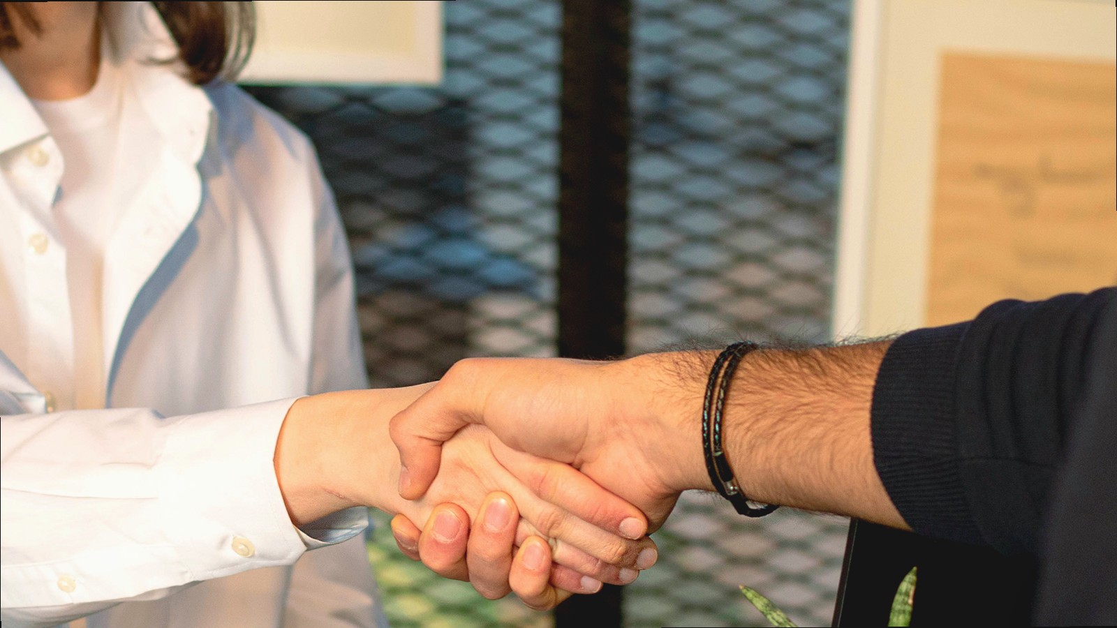 Employability - workplace readiness